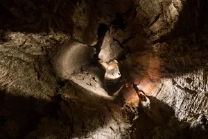 Data Teams: The Corporate Speleologists